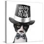 Cute Black and White Kitten with Moustache, Bow Tie and Happy New Year Hat-Hannamariah-Stretched Canvas