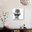 Cute Black and White Kitten with Moustache, Bow Tie and Happy New Year Hat-Hannamariah-Photographic Print displayed on a wall