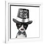 Cute Black and White Kitten with Moustache, Bow Tie and Happy New Year Hat-Hannamariah-Framed Photographic Print