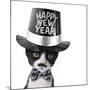 Cute Black and White Kitten with Moustache, Bow Tie and Happy New Year Hat-Hannamariah-Mounted Photographic Print