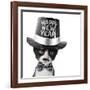 Cute Black and White Kitten with Moustache, Bow Tie and Happy New Year Hat-Hannamariah-Framed Photographic Print