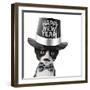 Cute Black and White Kitten with Moustache, Bow Tie and Happy New Year Hat-Hannamariah-Framed Photographic Print