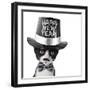 Cute Black and White Kitten with Moustache, Bow Tie and Happy New Year Hat-Hannamariah-Framed Photographic Print