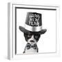 Cute Black and White Kitten with Moustache, Bow Tie and Happy New Year Hat-Hannamariah-Framed Photographic Print