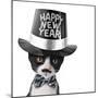Cute Black and White Kitten with Moustache, Bow Tie and Happy New Year Hat-Hannamariah-Mounted Photographic Print