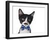 Cute Black and White Kitten with Mustache and Bow Tie-Hannamariah-Framed Photographic Print