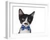 Cute Black and White Kitten with Mustache and Bow Tie-Hannamariah-Framed Photographic Print