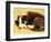 Cute Border Collie Puppy-AdventureArt-Framed Photographic Print