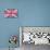 Cute British Flag In Shabby Chic Floral Style-Alisa Foytik-Stretched Canvas displayed on a wall