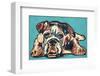 Cute Bulldog-null-Framed Art Print
