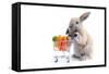 Cute Bunny Shopping for His Favorite Snacks with Shopping Cart-dzain-Framed Stretched Canvas