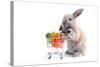 Cute Bunny Shopping for His Favorite Snacks with Shopping Cart-dzain-Stretched Canvas