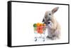 Cute Bunny Shopping for His Favorite Snacks with Shopping Cart-dzain-Framed Stretched Canvas