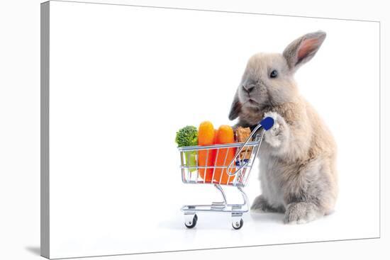 Cute Bunny Shopping for His Favorite Snacks with Shopping Cart-dzain-Stretched Canvas