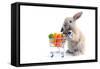 Cute Bunny Shopping for His Favorite Snacks with Shopping Cart-dzain-Framed Stretched Canvas