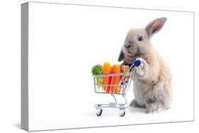 Cute Bunny Shopping for His Favorite Snacks with Shopping Cart-dzain-Stretched Canvas