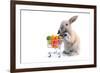 Cute Bunny Shopping for His Favorite Snacks with Shopping Cart-dzain-Framed Photographic Print