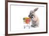 Cute Bunny Shopping for His Favorite Snacks with Shopping Cart-dzain-Framed Photographic Print