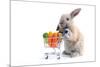 Cute Bunny Shopping for His Favorite Snacks with Shopping Cart-dzain-Mounted Photographic Print