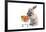 Cute Bunny Shopping for His Favorite Snacks with Shopping Cart-dzain-Framed Photographic Print