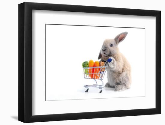 Cute Bunny Shopping for His Favorite Snacks with Shopping Cart-dzain-Framed Photographic Print