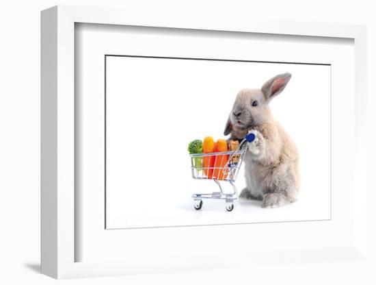 Cute Bunny Shopping for His Favorite Snacks with Shopping Cart-dzain-Framed Photographic Print