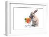 Cute Bunny Shopping for His Favorite Snacks with Shopping Cart-dzain-Framed Photographic Print