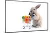 Cute Bunny Shopping for His Favorite Snacks with Shopping Cart-dzain-Mounted Photographic Print