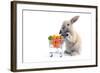 Cute Bunny Shopping for His Favorite Snacks with Shopping Cart-dzain-Framed Photographic Print