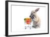 Cute Bunny Shopping for His Favorite Snacks with Shopping Cart-dzain-Framed Photographic Print