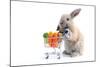 Cute Bunny Shopping for His Favorite Snacks with Shopping Cart-dzain-Mounted Photographic Print