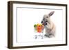 Cute Bunny Shopping for His Favorite Snacks with Shopping Cart-dzain-Framed Photographic Print