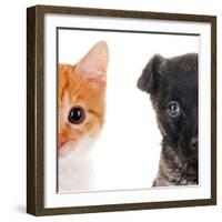 Cute Cat and Dog Faces Isolated on White-Yastremska-Framed Photographic Print