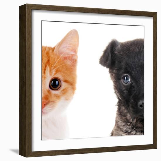 Cute Cat and Dog Faces Isolated on White-Yastremska-Framed Photographic Print