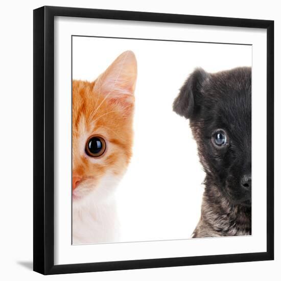 Cute Cat and Dog Faces Isolated on White-Yastremska-Framed Photographic Print