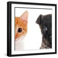 Cute Cat and Dog Faces Isolated on White-Yastremska-Framed Photographic Print