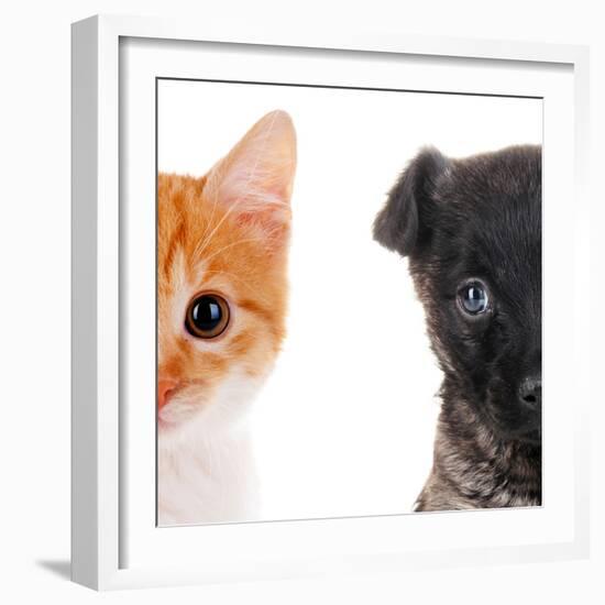 Cute Cat and Dog Faces Isolated on White-Yastremska-Framed Photographic Print