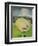 Cute Chick-Tim Nyberg-Framed Premium Giclee Print