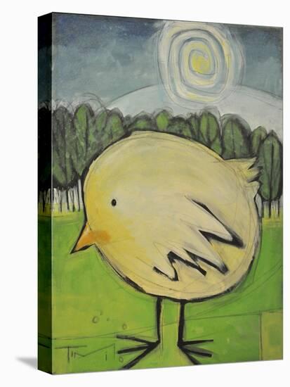 Cute Chick-Tim Nyberg-Stretched Canvas