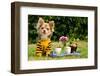 Cute Chihuahua Dog At The Picnic In Summer Garden-vitalytitov-Framed Photographic Print