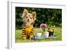 Cute Chihuahua Dog At The Picnic In Summer Garden-vitalytitov-Framed Photographic Print