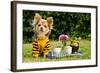 Cute Chihuahua Dog At The Picnic In Summer Garden-vitalytitov-Framed Photographic Print