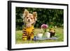 Cute Chihuahua Dog At The Picnic In Summer Garden-vitalytitov-Framed Photographic Print