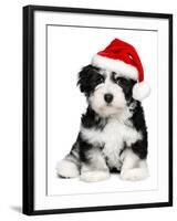 Cute Christmas Havanese Puppy Dog with a Santa Hat-mdorottya-Framed Premium Photographic Print