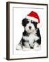 Cute Christmas Havanese Puppy Dog with a Santa Hat-mdorottya-Framed Premium Photographic Print