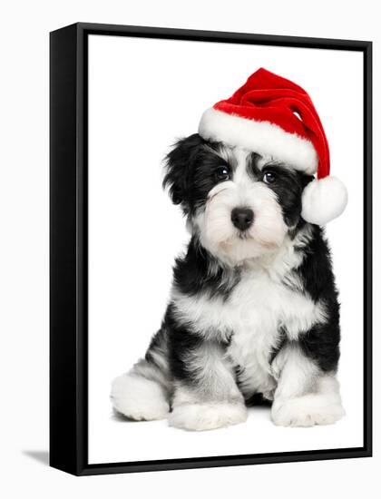 Cute Christmas Havanese Puppy Dog with a Santa Hat-mdorottya-Framed Stretched Canvas