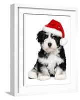 Cute Christmas Havanese Puppy Dog with a Santa Hat-mdorottya-Framed Photographic Print