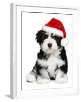 Cute Christmas Havanese Puppy Dog with a Santa Hat-mdorottya-Framed Photographic Print