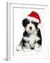 Cute Christmas Havanese Puppy Dog with a Santa Hat-mdorottya-Framed Photographic Print