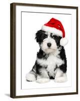 Cute Christmas Havanese Puppy Dog with a Santa Hat-mdorottya-Framed Photographic Print